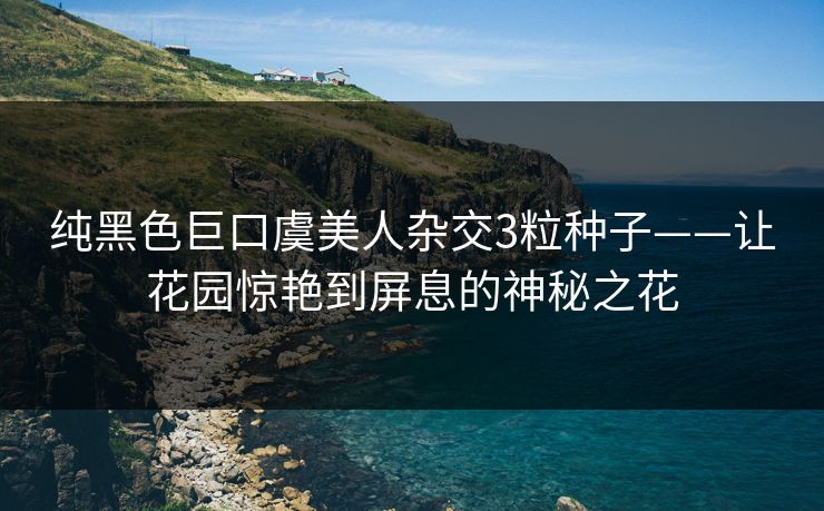 纯黑色巨口虞美人杂交3粒种子——让花园惊艳到屏息的神秘之花 纯黑色巨口虞美人杂交3粒种子——让花园惊艳到屏息的神秘之花