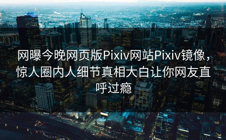 网曝今晚网页版Pixiv网站Pixiv镜像，惊人圈内人细节真相大白让你网友直呼过瘾