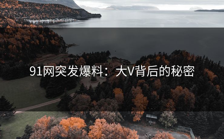 91网突发爆料：大V背后的秘密