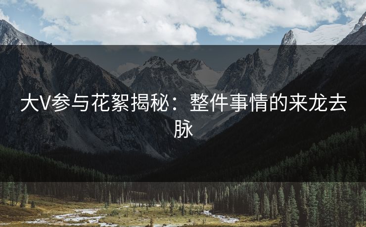 大V参与花絮揭秘：整件事情的来龙去脉
