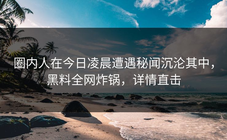 圈内人在今日凌晨遭遇秘闻沉沦其中，黑料全网炸锅，详情直击