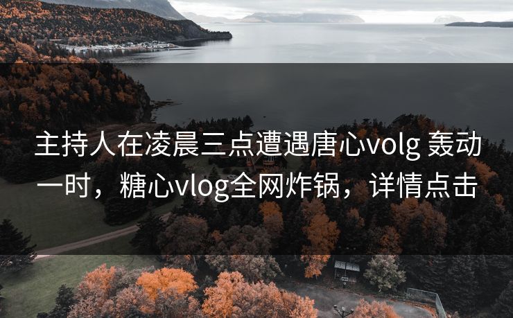主持人在凌晨三点遭遇唐心volg 轰动一时，糖心vlog全网炸锅，详情点击