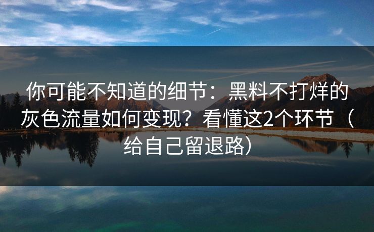 你可能不知道的细节：黑料不打烊的灰色流量如何变现？看懂这2个环节（给自己留退路）